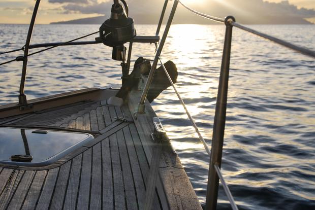 der Bug eines Bootes auf dem Wasser