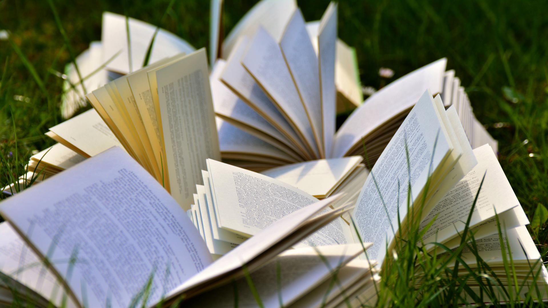 aufgeschlagene Bücher liegen im Gras