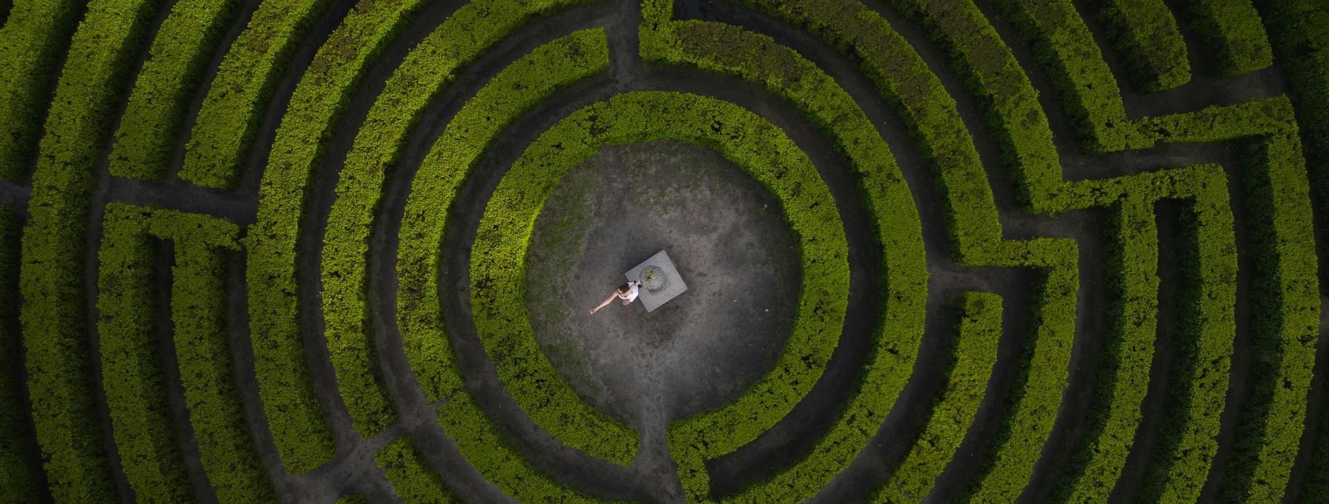 Ansicht von oben: Labyrinth aus Büschen, in der Mitte steht ein Mensch