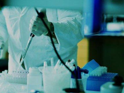 Labordiagnostik Labor