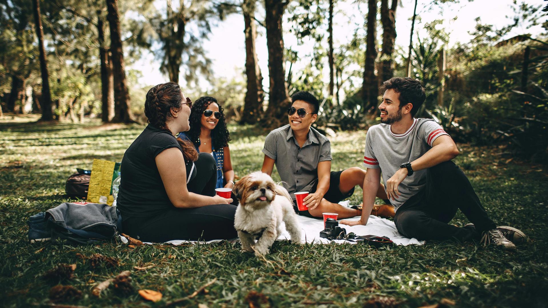 Gruppe von Jugendlichen beim Picknick